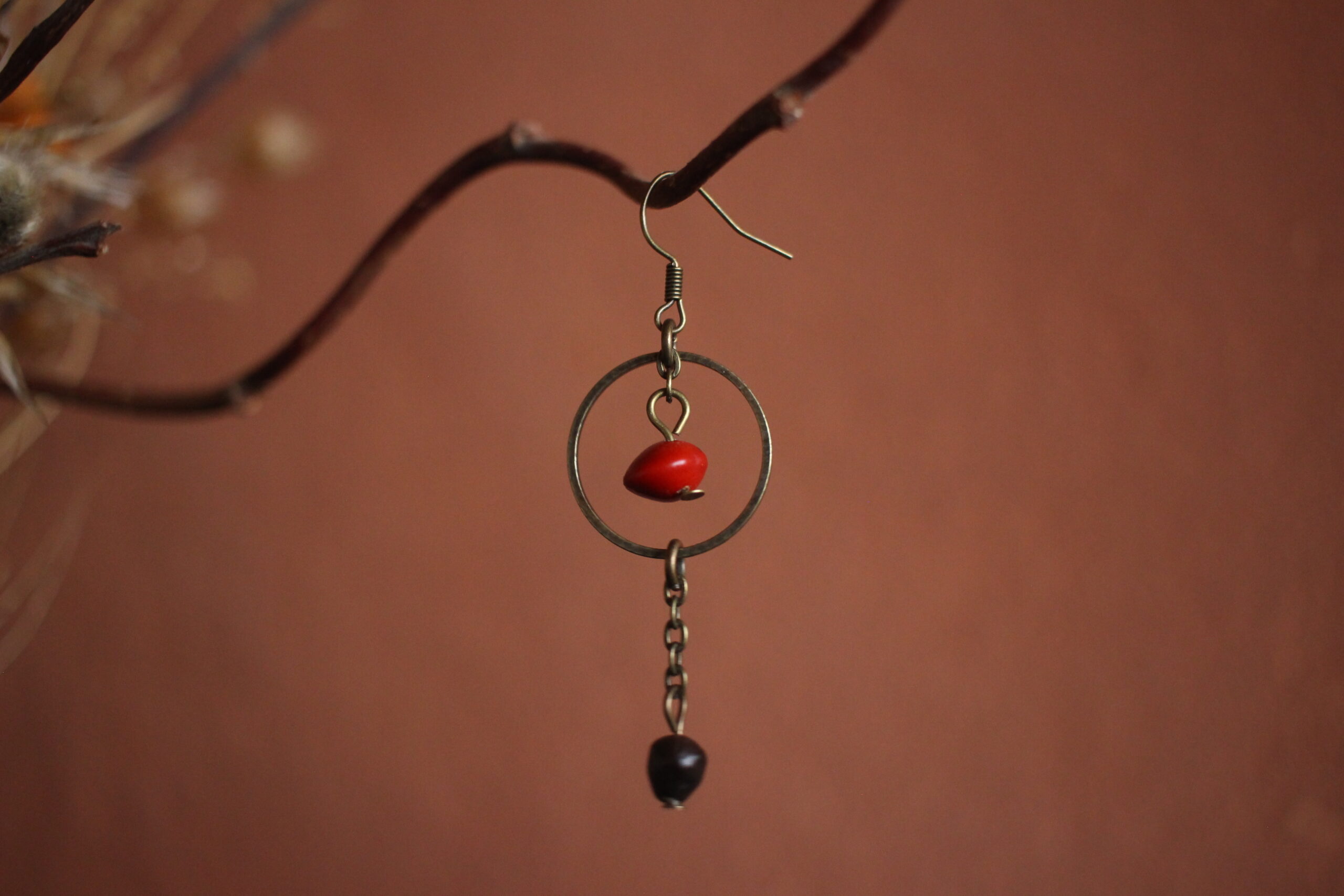 Boucles d'oreilles Petit rond rouge et graine de Savonnier de Chine