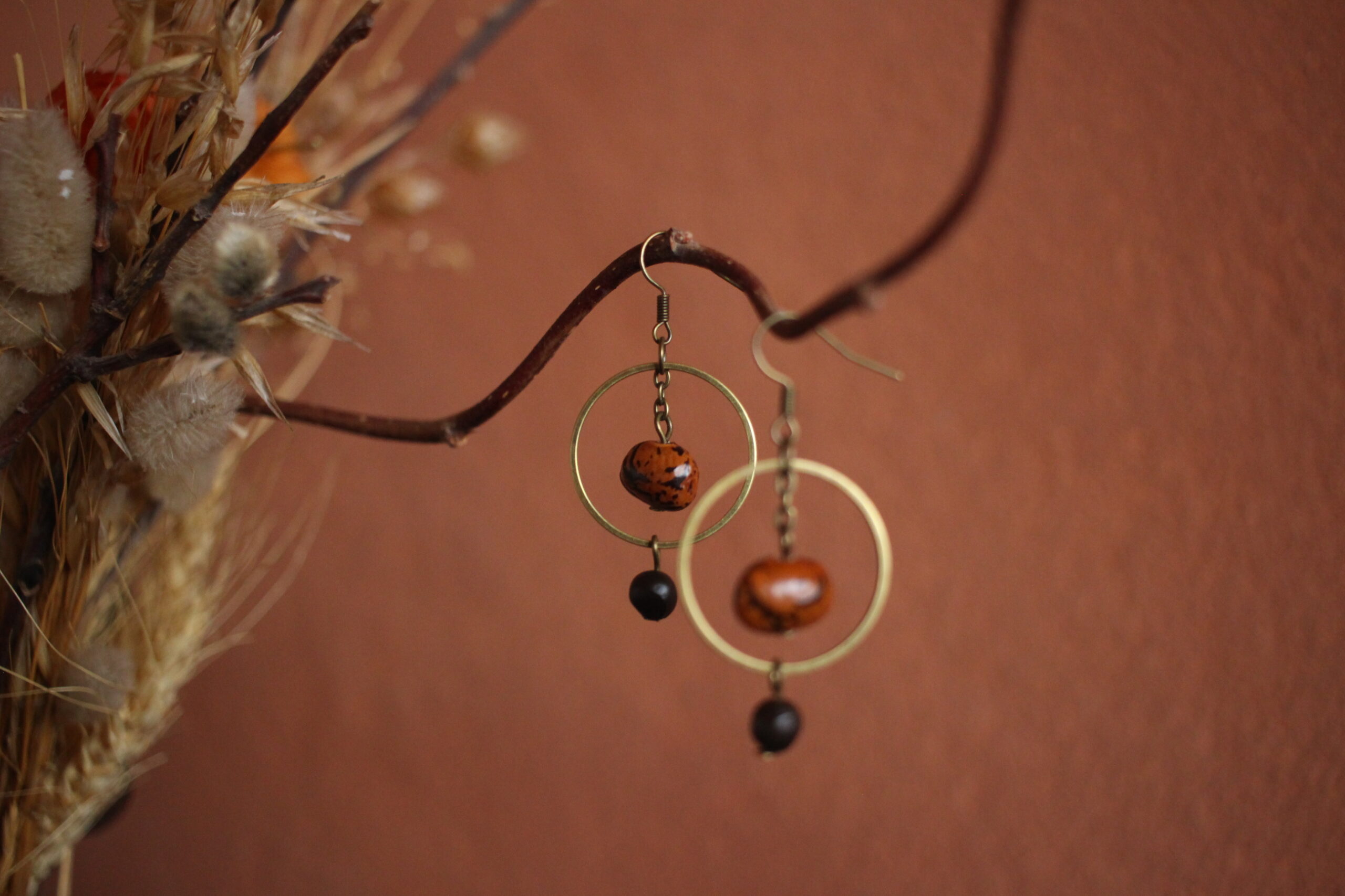 Boucles d'oreilles Petit rond haricot coco et Savonnier de Chine