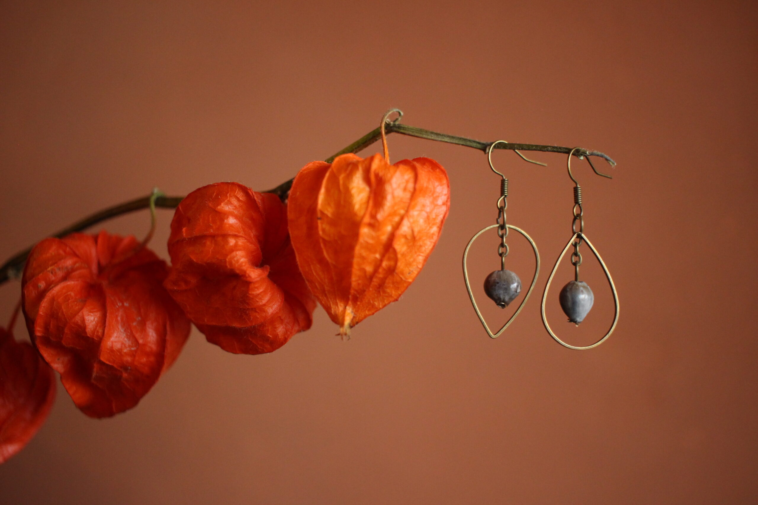 Boucles d'oreilles Goutte Larme de Job