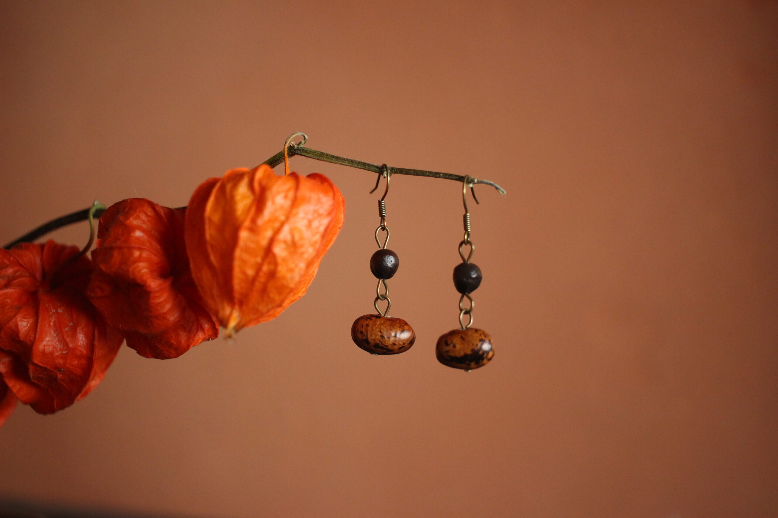 Boucles d'oreilles Haricot coco et Savonnier de Chine – Image 2