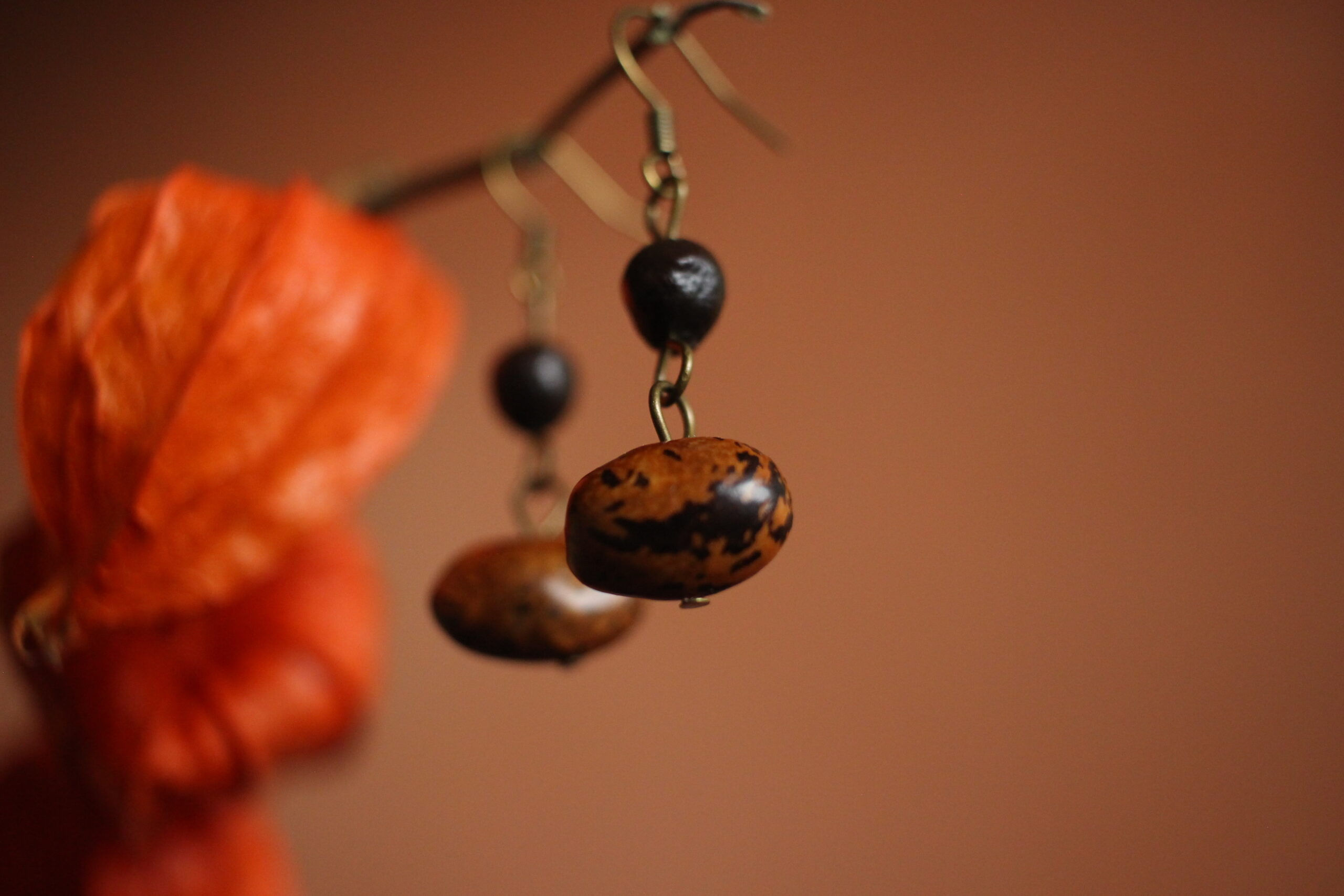 Boucles d'oreilles Haricot coco et Savonnier de Chine