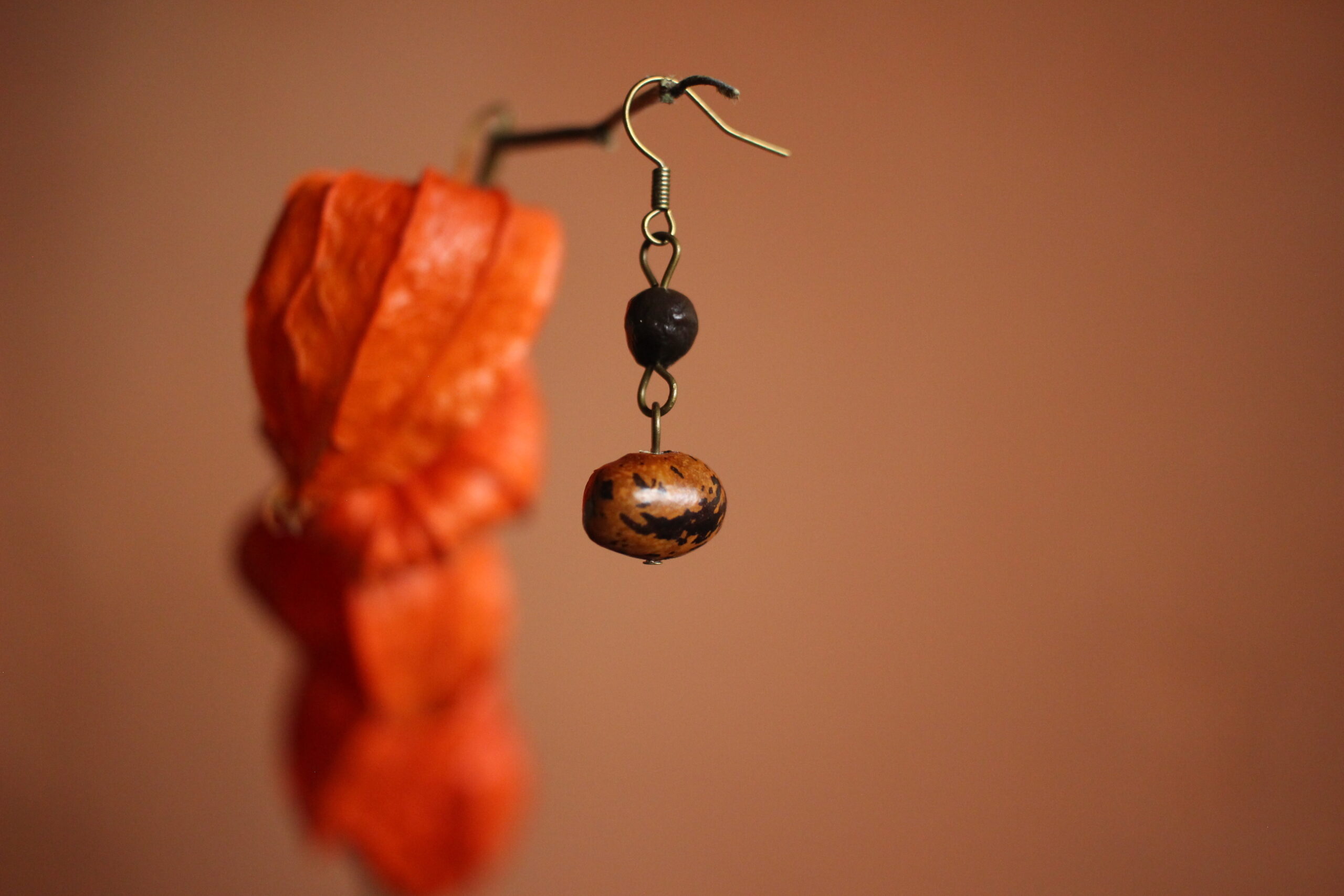 Boucles d'oreilles Haricot coco et Savonnier de Chine – Image 4