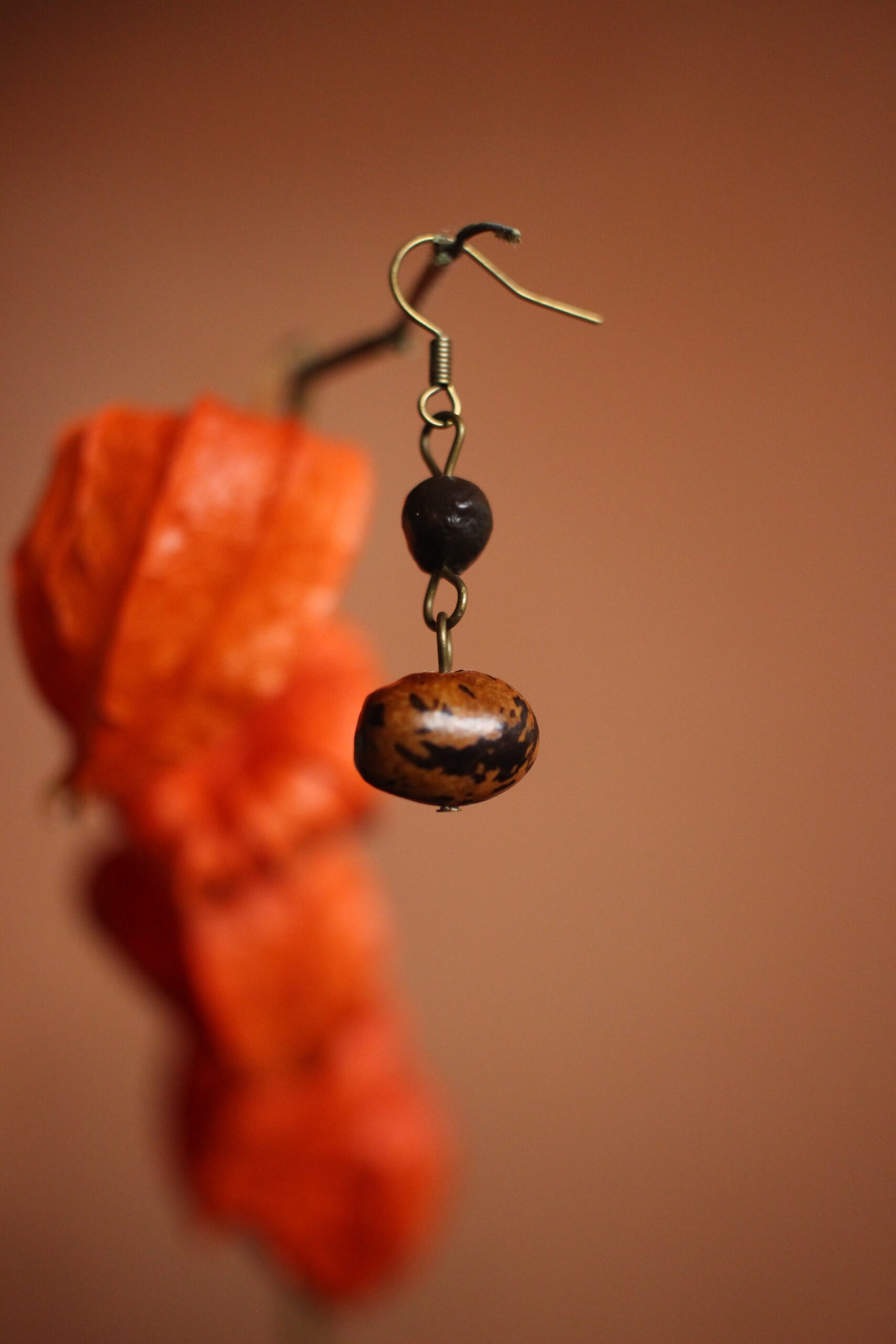 Boucles d'oreilles Haricot coco et Savonnier de Chine – Image 5